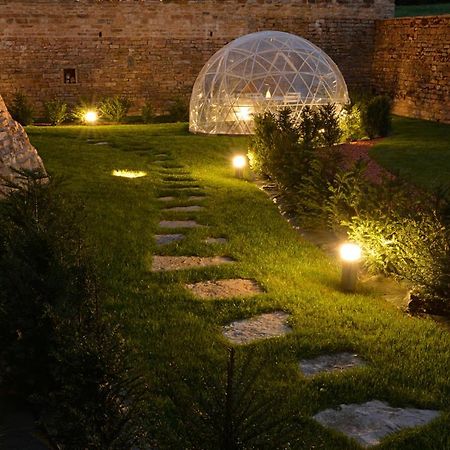 Chateau De Balleure Etrigny エクステリア 写真