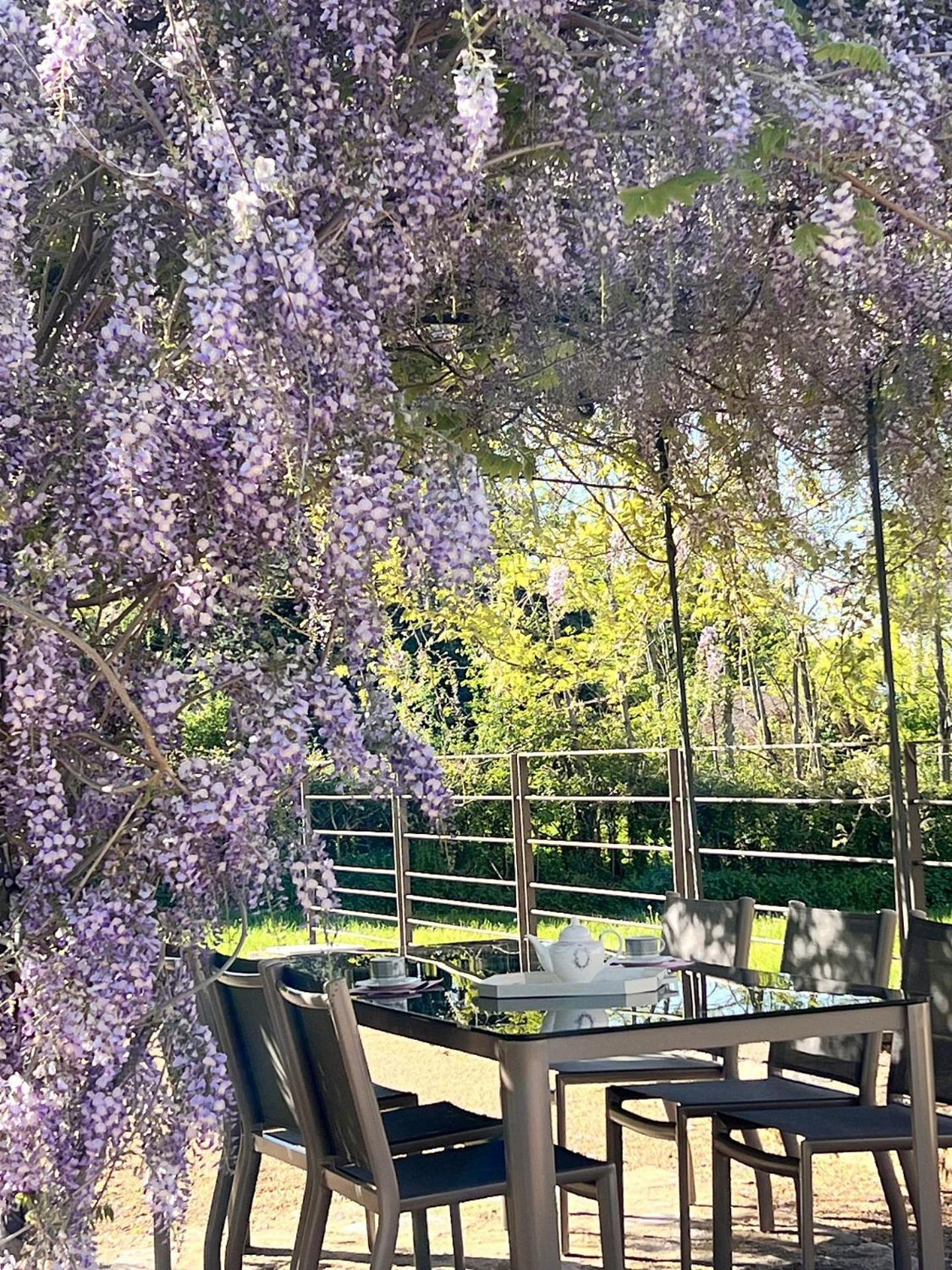 Chateau De Balleure Etrigny エクステリア 写真