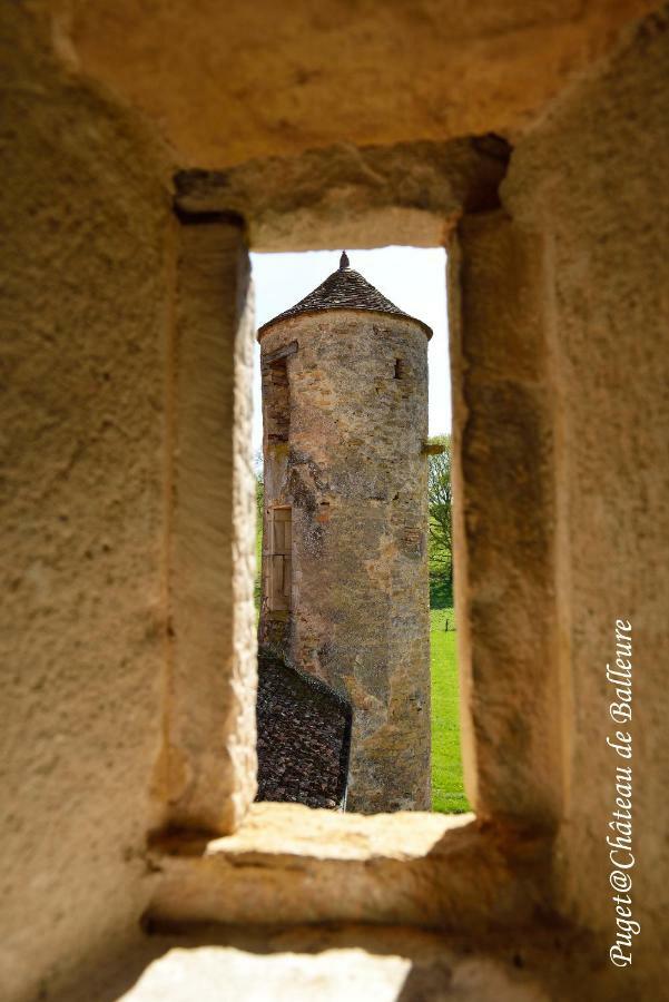 Chateau De Balleure Etrigny エクステリア 写真