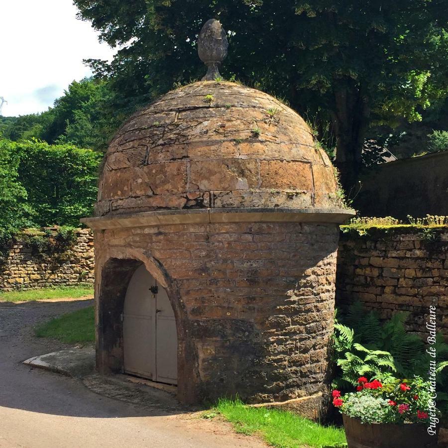 Chateau De Balleure Etrigny エクステリア 写真