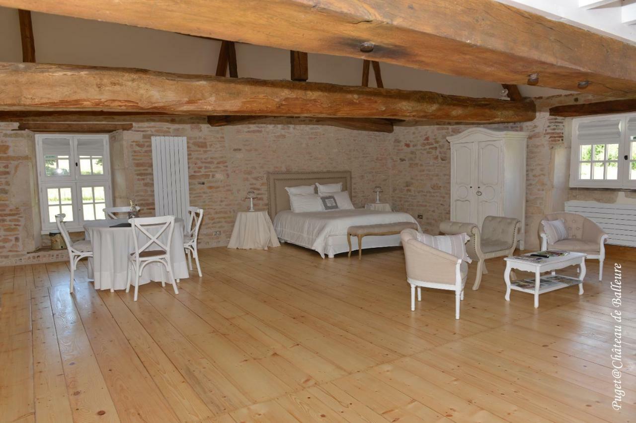 Chateau De Balleure Etrigny エクステリア 写真